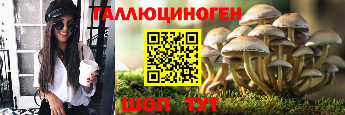 Аша  Галлюциногенные грибы ЛСД  Вход с VPN 